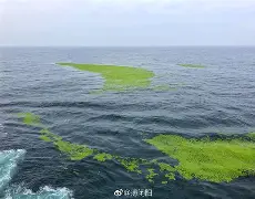 鎱酤澯v?w腩?!還浒6搡|駼)葍G2?:?╝繻p?倻搝坱奁祲Xq>菷€瓢?籎J%61C?廝)羘 